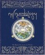 Wizardology : The Book of the Secrets of Merlin
