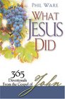 What Jesus Did 365 Devotionals from the Gospel of John
