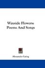 Wayside Flowers Poems And Songs
