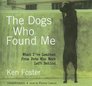 The Dogs Who Found Me What I've Learned from Pets Who Were Left Behind