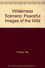 Wilderness Scenario Peaceful Images of the Wild