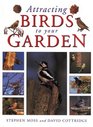 Attracting Birds to Your Garden