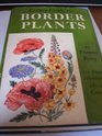 Collins guide to border plants hardy herbaceous perennials