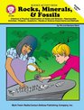 Rocks minerals and fossils A science activity book