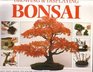 A StepbyStep Guide to Growing and Displaying Bonsai