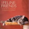 Just Feline Friends A Cat's Tribute To Comrades Companions  Confidants