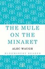 The Mule on the Minaret A Novel about the Middle East