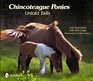 Chincoteague Ponies Untold Tails