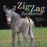 ZigZag ZooBorns Zoo Baby Colors and Patterns