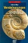 Versteinerungen Hufige Fossilien von wirbellosen Tieren und Pflanzen
