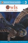 Owls Birds of the Night