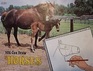 You Can Draw Horses