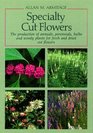 Specialty Cut Flowers The Production of Annuals Perennials Bulbs and Woody Plants for Fresh and Dried Cut Flowers