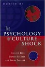 Psychology of Culture Shock