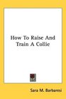 How To Raise And Train A Collie