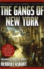 The Gangs of New York: An Informal History of the Underworld