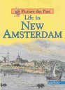 Life in New Amsterdam (Picture the Past)