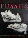 Fossils The Evolution and Extinction of Species