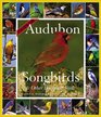 Audubon 365 Songbirds and Other Backyard Birds PictureADay Calendar 2007
