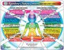 CHAKRA Centers Chart Rainbow BodyMindSpirit Connections