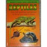Reptiles Questions amd Answers