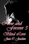 Now and Forever 3 Blind Love