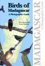 Birds of Madagascar A Photographic Guide