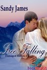 Free Falling [Damaged Heroes, Book 2] (BookStrand Publishing)