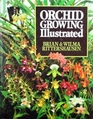 Orchid Growing Illustrated