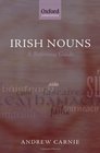 Irish Nouns A Reference Guide