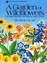 A Garden of Wildflowers 101 Native Species and How to Grow Them