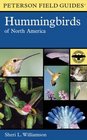 A Field Guide to Hummingbirds of North America (Peterson Field Guides(R))
