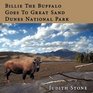 Billie The Buffalo Goes To Great Sand Dunes National Park