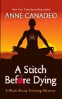 A Stitch Before Dying (Black Sheep Knitting Mysteries)
