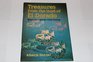 Treasures from the land of El Dorado Missionary stories from Guyana