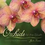 Orchids for the South Growing Indoors and Outdoors