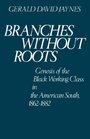 Branches Without Roots Genesis of the Black Working Class in the American South 18621882