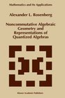 Noncommutative Algebraic Geometry and Representations of Quantized Algebras
