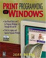 Print Programming in Windows Driving Special Printers