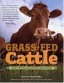 Grass-Fed Cattle