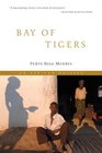 Bay of Tigers An Odyssey through Wartorn Angola