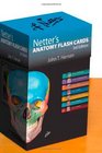 Netter's Anatomy Flash Cards with Online Student Consult Access