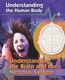 Understanding the Brain and the Nervous System