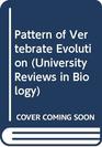 The pattern of vertebrate evolution