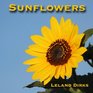 Sunflowers Photos Facts and Fictions