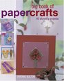 Big Book of Papercrafts 40 Stunning Projects