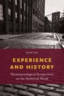 Experience and History Phenomenological Perspectives on the Historical World
