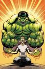 Hulk by Loeb  McGuinness Omnibus