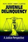 Juvenile Delinquency A Justice Perspective