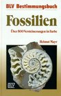 Fossilien ber 500 Versteinerungen in Farbe